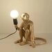 Veioza Monkey Gold, 1 surse de iluminare